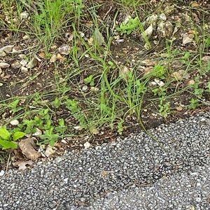 Meet your Posher, Jeana